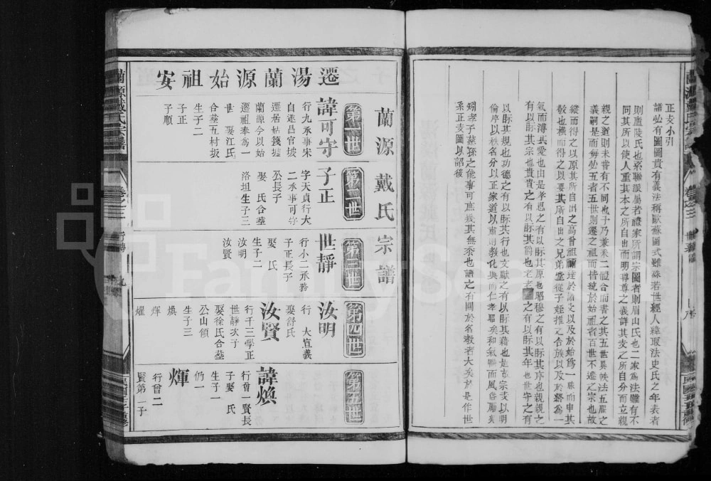 图片[3]-浙江衢州龙游兰源戴氏宗谱电子版PDF下载-中华家谱网