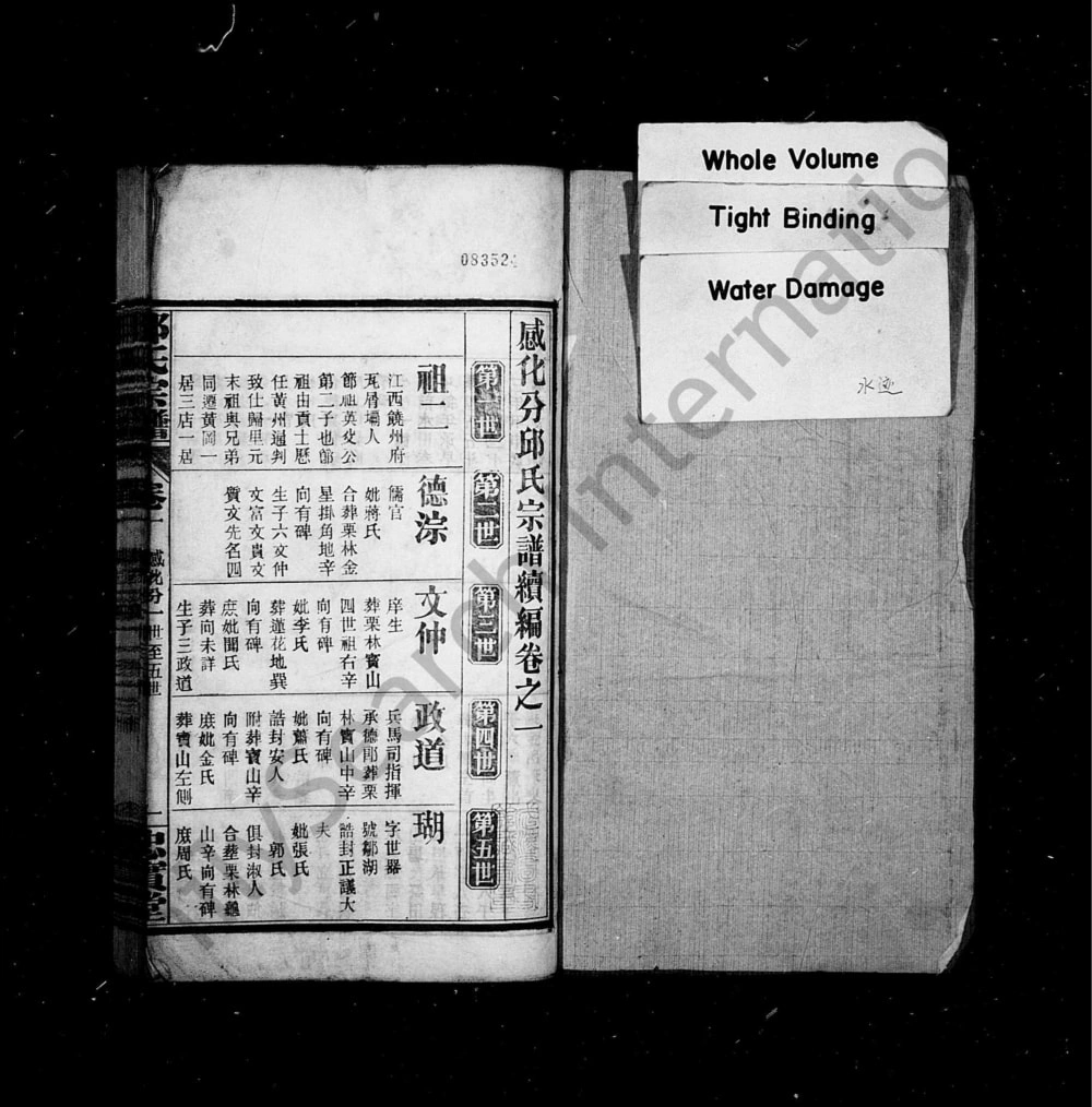 图片[2]-湖北黄冈感化分邱氏宗谱续编（忠实堂）电子版PDF下载-中华家谱网