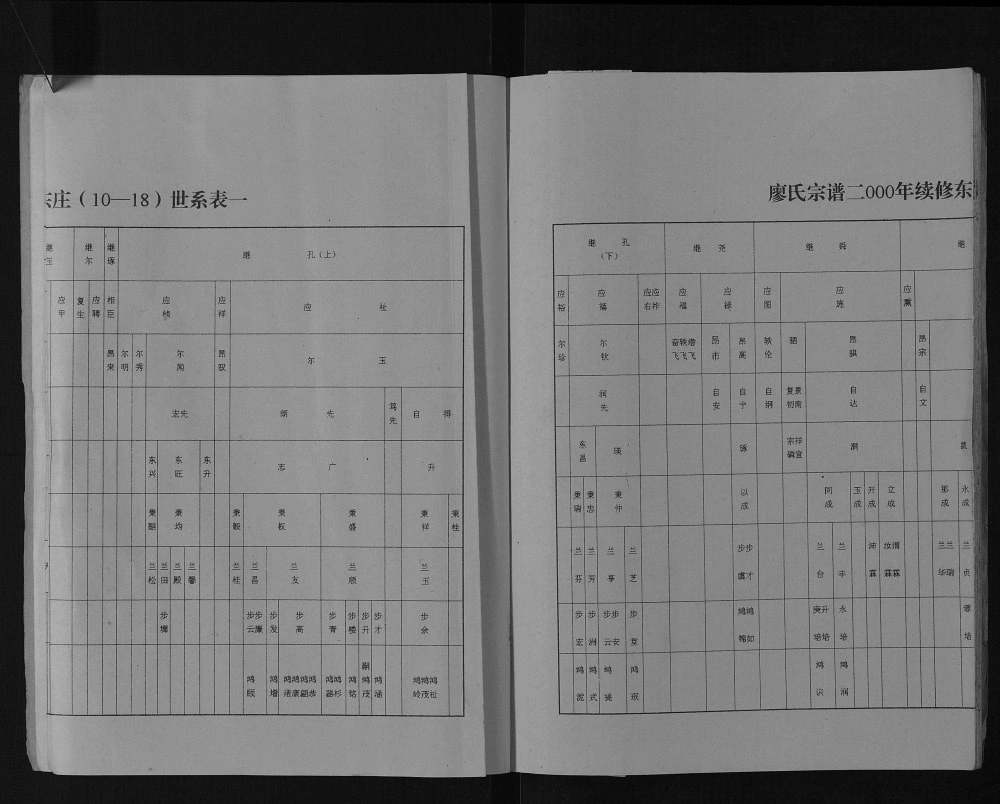 图片[5]-江苏盐城廖氏宗谱东庄支谱（世彩堂）电子版PDF下载-中华家谱网