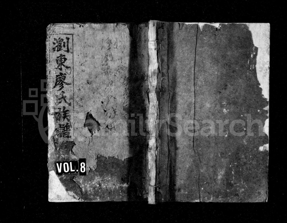 图片[1]-湖南浏阳浏东廖氏族谱（世彩堂）电子版PDF下载-中华家谱网