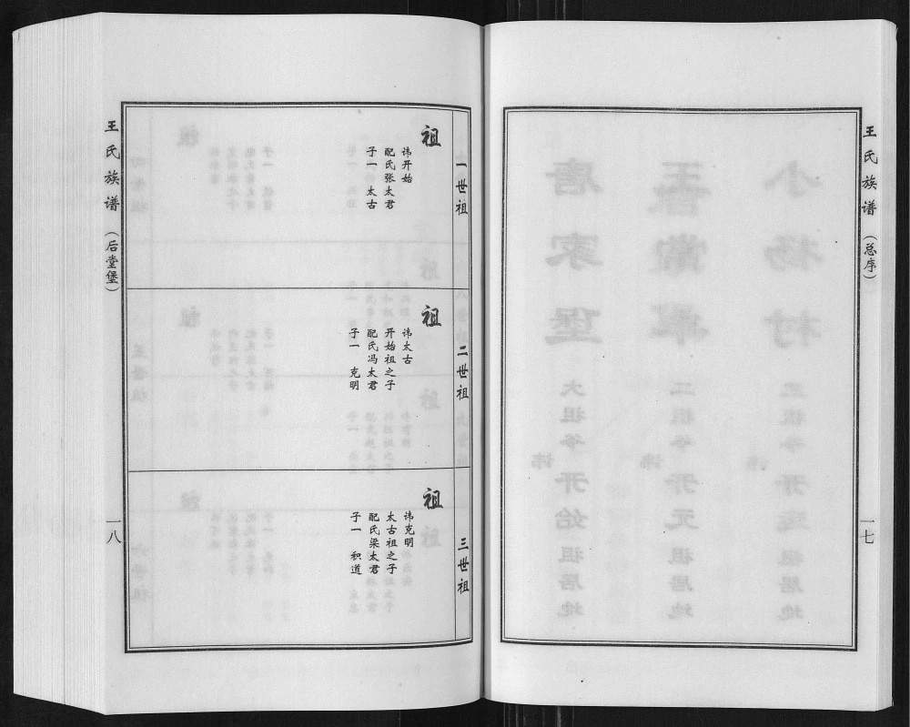 图片[5]-河北沧州盐山县唐家堡王常丰村王氏族谱电子版PDF下载-中华家谱网