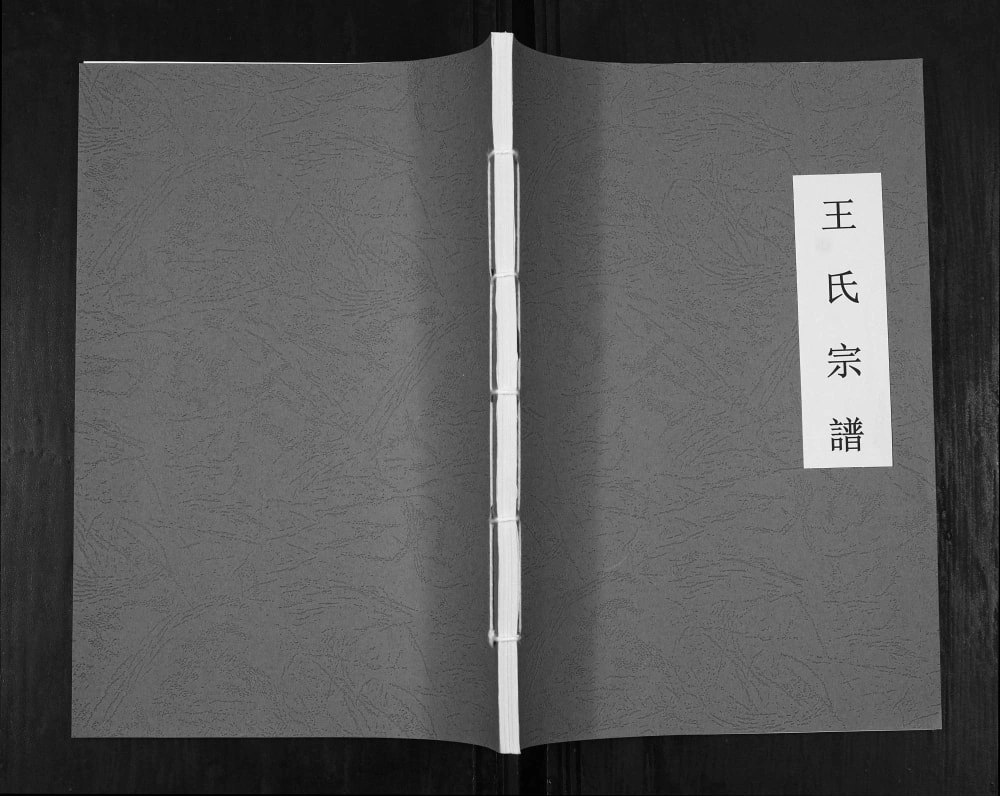 图片[1]-贵州仁怀王氏宗谱电子版PDF下载-中华家谱网