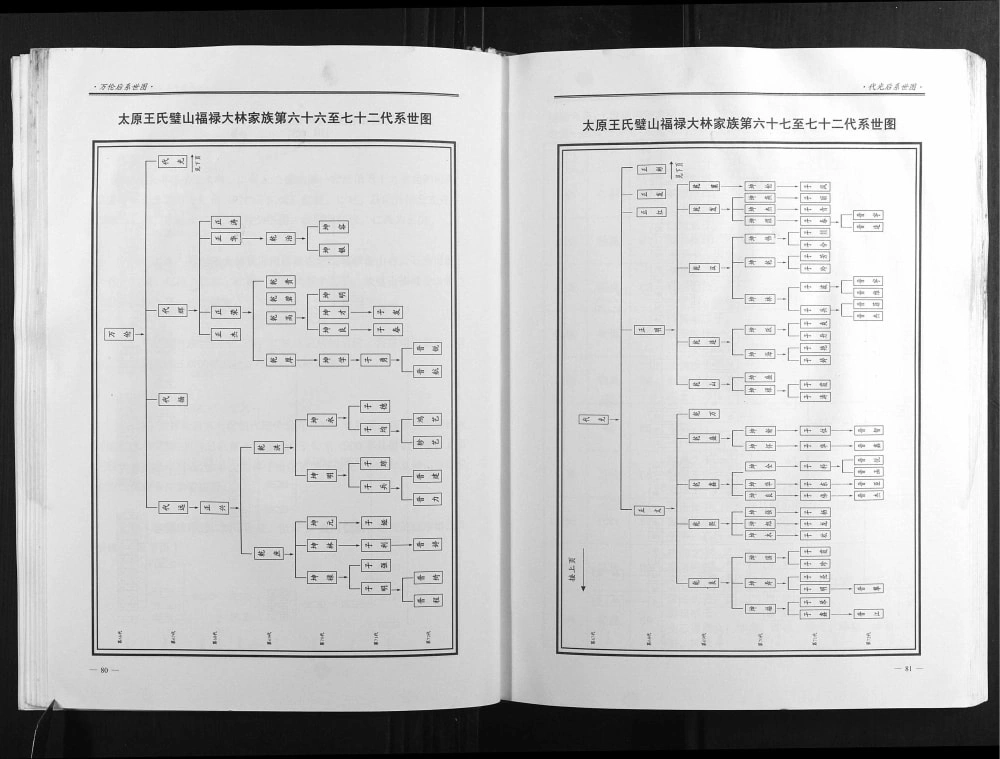 图片[6]-重庆璧山区太原王氏璧山福禄大林家族族谱电子版PDF下载-中华家谱网