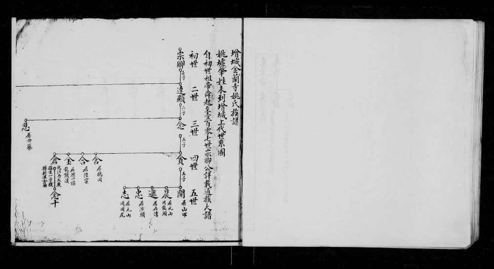 图片[3]-广东广州增城金兰寺姚氏族谱电子版PDF下载-中华家谱网