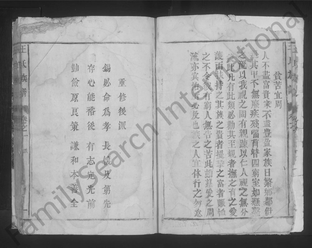图片[3]-江西九江湖口彭泽王氏族谱电子版PDF下载-中华家谱网