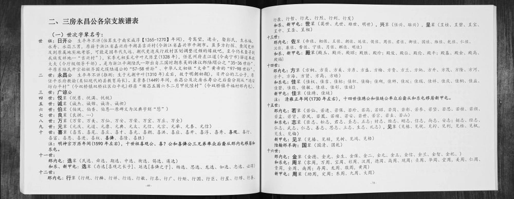 图片[5]-广西南宁武鸣区陆氏家史日开宗系三房族谱电子版PDF下载-中华家谱网