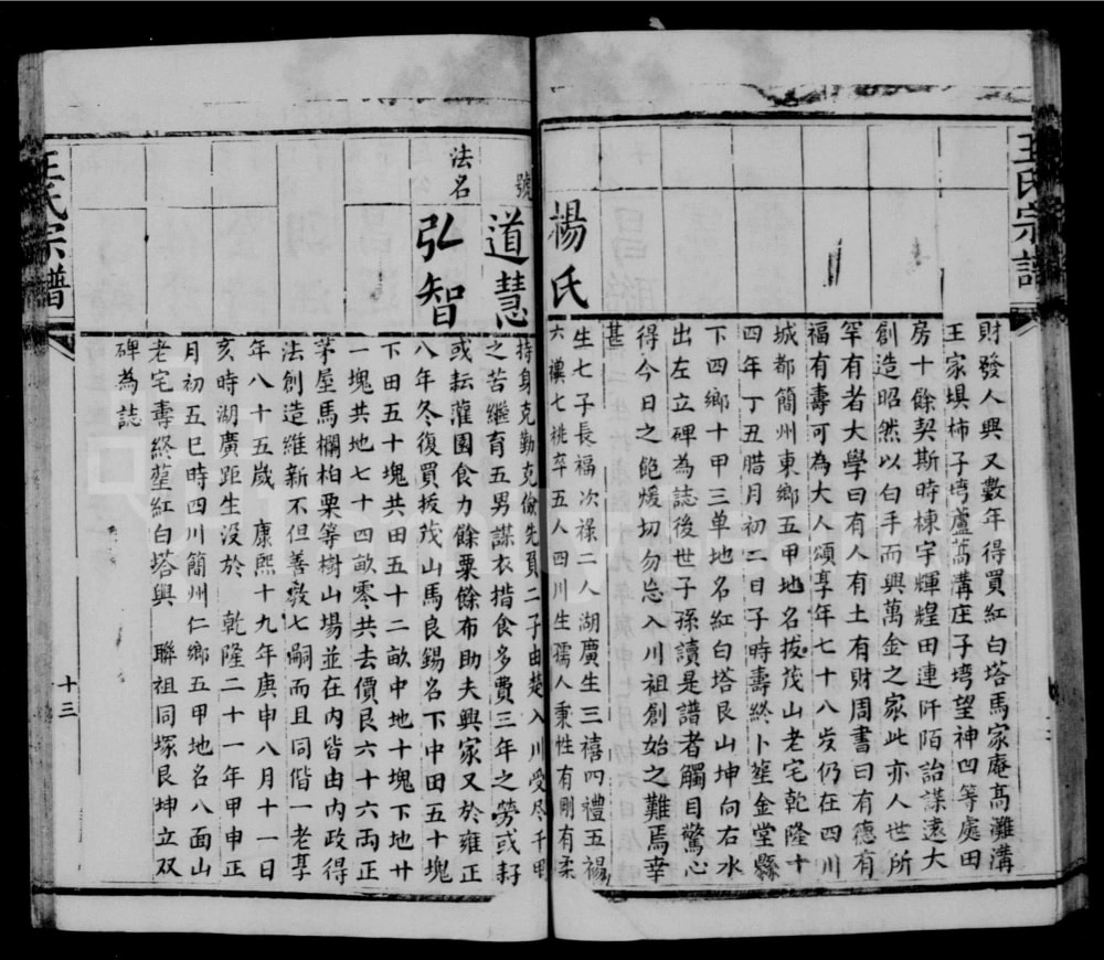 图片[4]-四川简阳王氏宗谱电子版PDF下载-中华家谱网