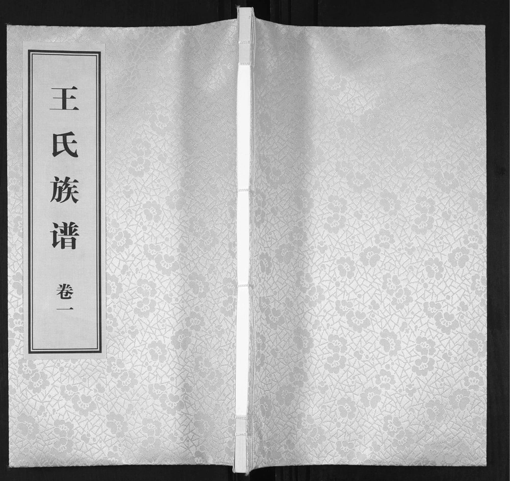 图片[1]-山东菏泽郓城县王氏族谱电子版PDF下载-中华家谱网