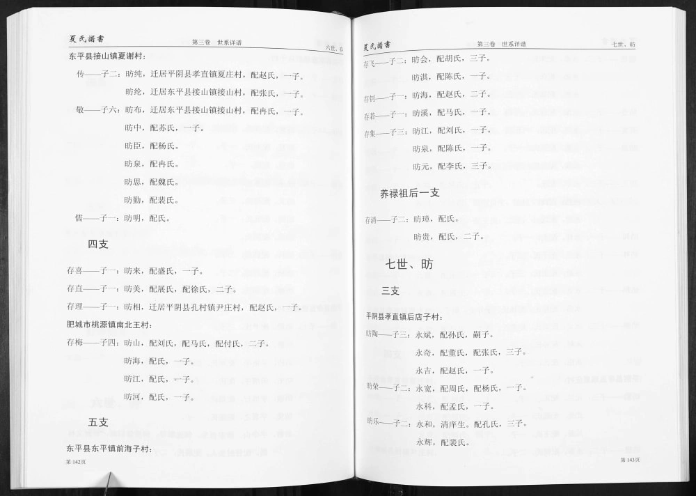 图片[7]-山东济南平阴店子夏氏谱书附家族纪事电子版PDF下载-中华家谱网