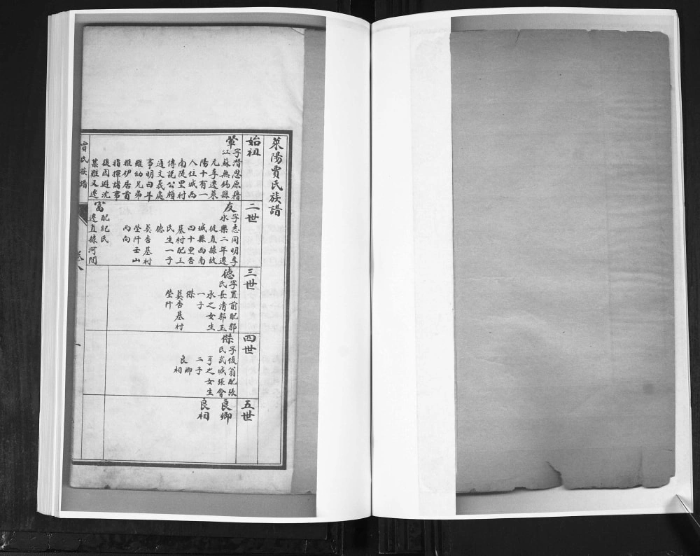 图片[8]-山东莱阳武威郡贾氏族谱电子版PDF下载-中华家谱网