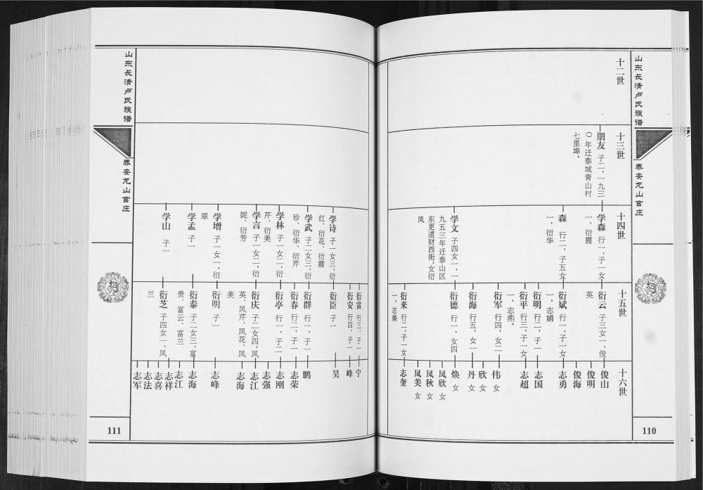 图片[7]-山东济南长清卢氏族谱（长清堂）电子版PDF下载-中华家谱网