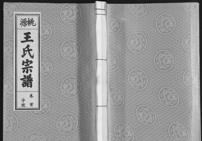 安徽合肥庐江县桃源王氏宗谱(三槐堂)电子版PDF下载-中华家谱网