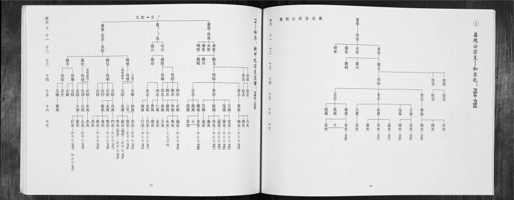 图片[7]-广西南宁武鸣区陆氏家史日开宗系三房族谱电子版PDF下载-中华家谱网