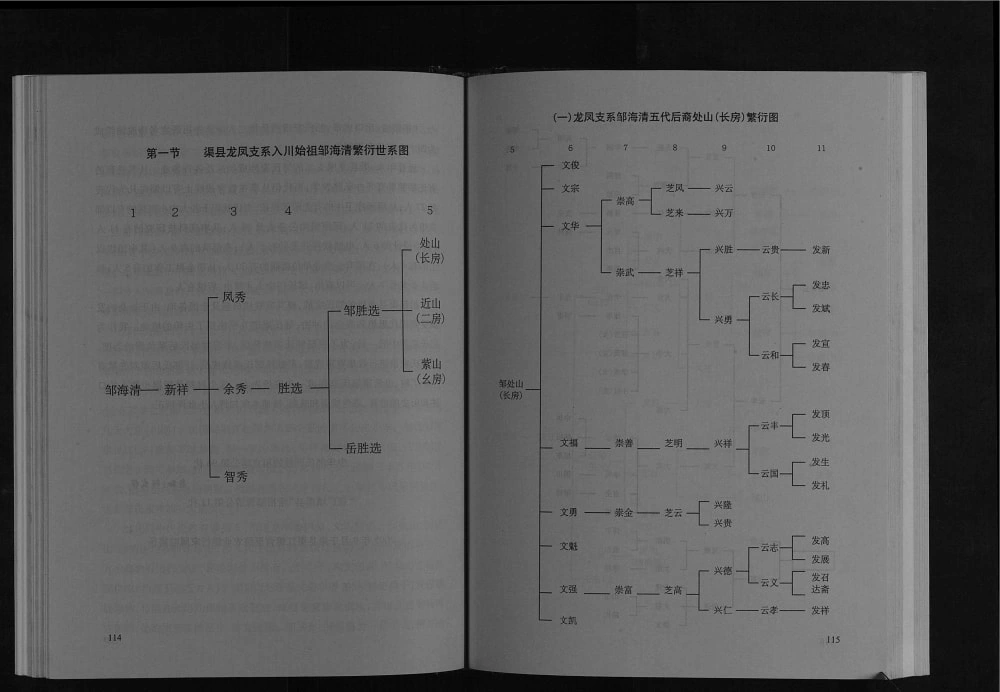 图片[6]-四川达州渠县邹氏家谱电子版PDF下载-中华家谱网