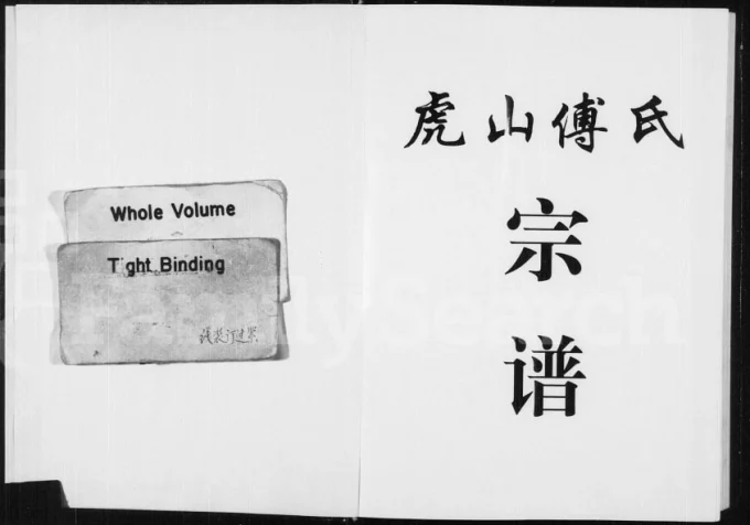 浙江永康虎山傅氏宗谱电子版PDF下载-中华家谱网