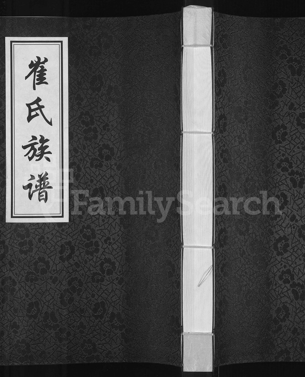图片[1]-吉林长春农安县崔氏族谱电子版PDF下载-中华家谱网