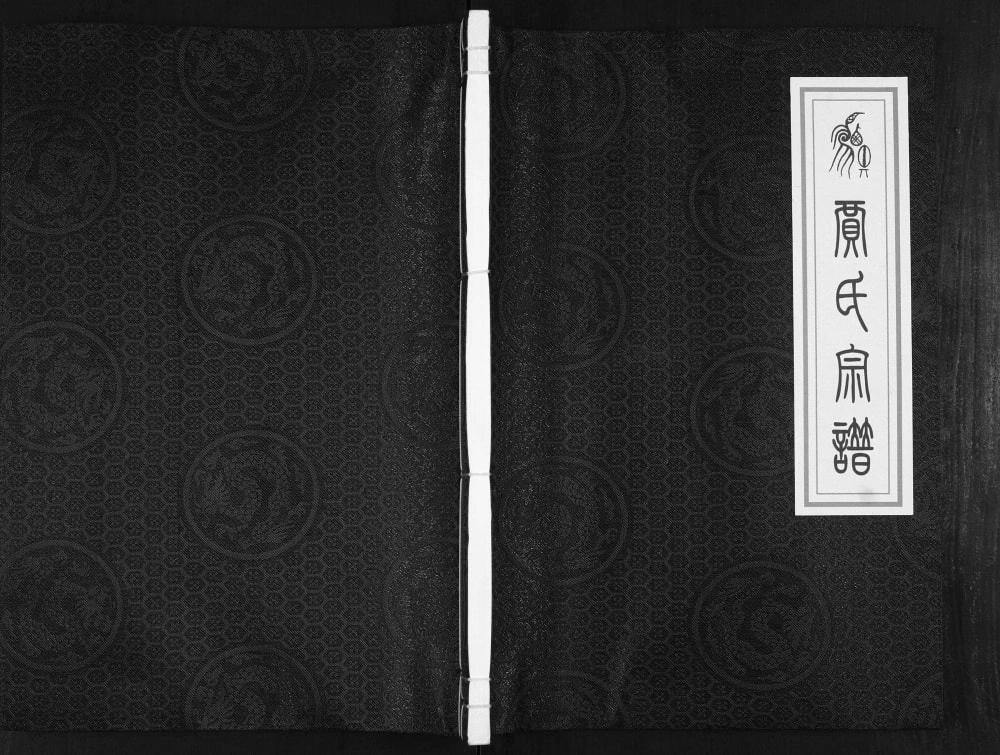 图片[1]-山东邹平贾氏宗谱电子版PDF下载-中华家谱网
