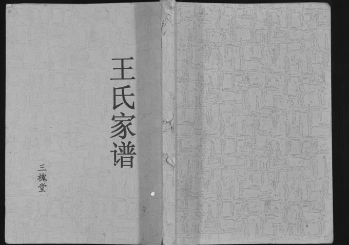 江苏盐城阜宁王氏家谱(三槐堂)电子版PDF下载-中华家谱网