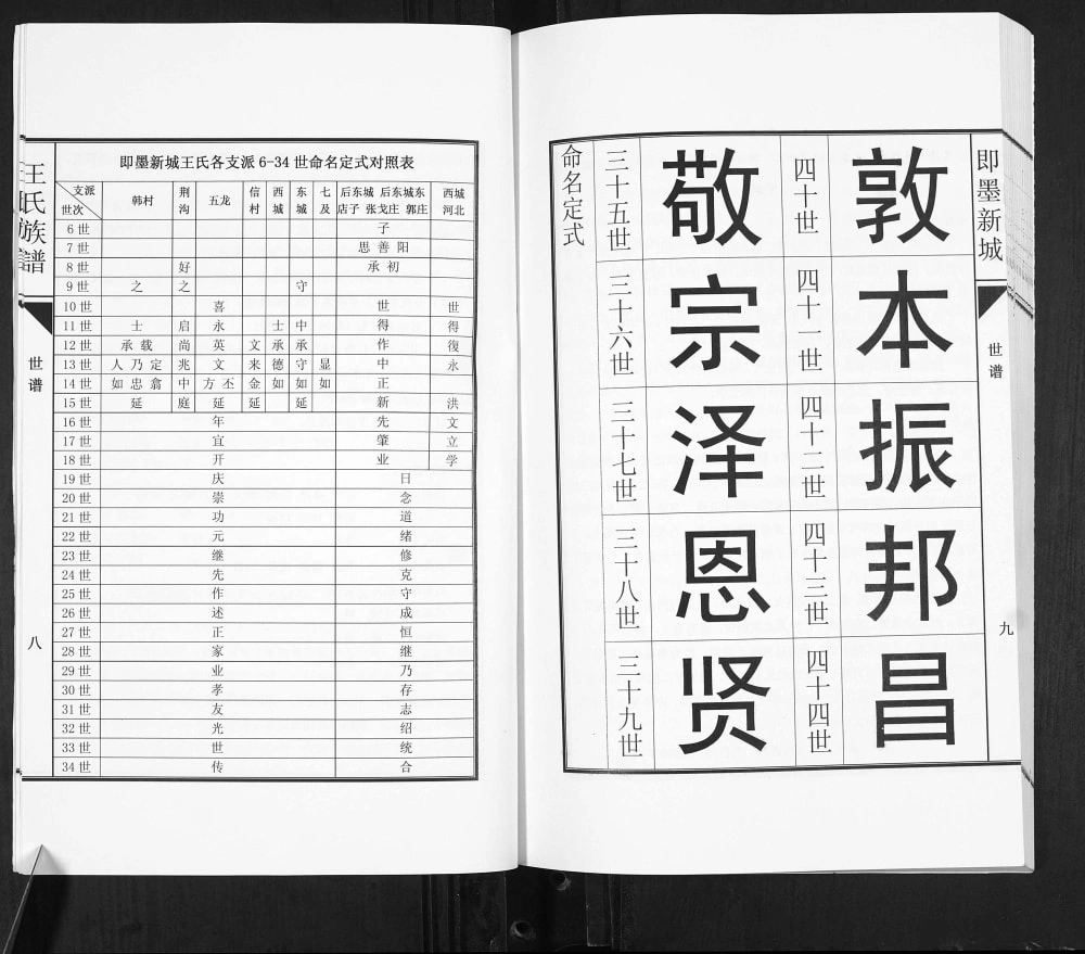 图片[3]-山东青岛即墨新城王氏族谱电子版PDF下载-中华家谱网