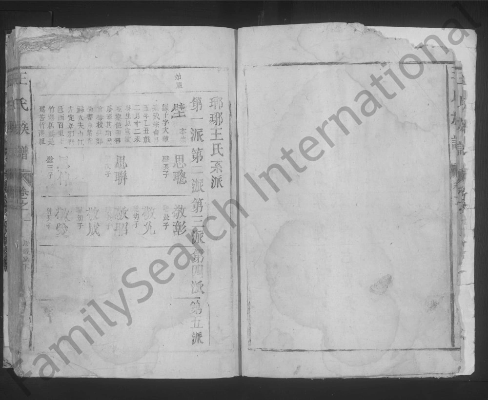 图片[4]-江西九江湖口彭泽王氏族谱电子版PDF下载-中华家谱网