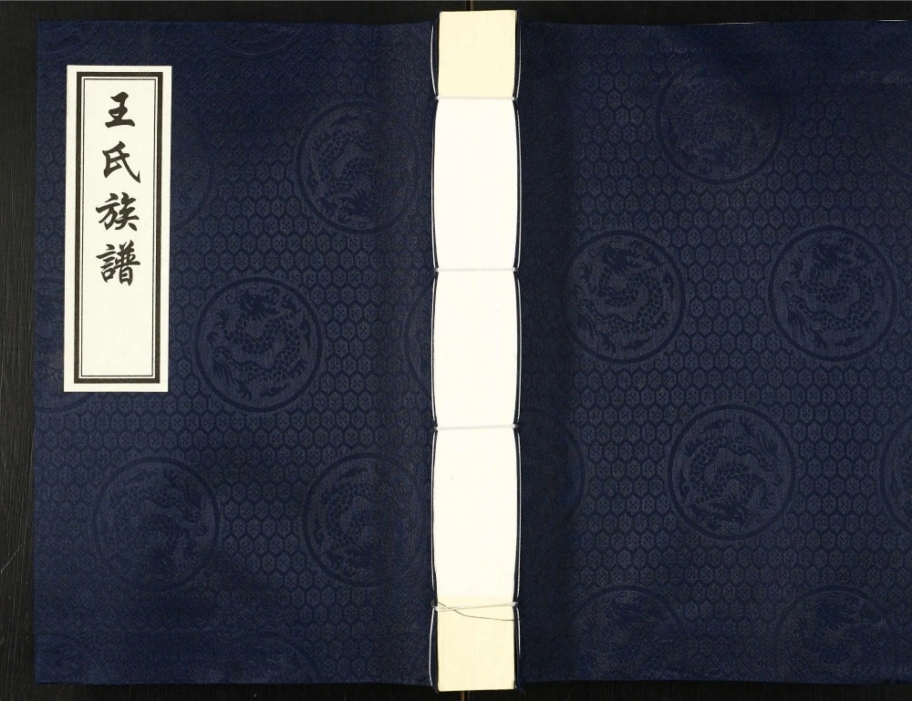 图片[1]-河北沧州盐山县唐家堡王常丰村王氏族谱电子版PDF下载-中华家谱网
