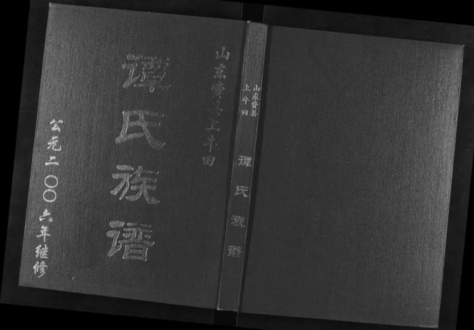 山东临沂费县谭氏族谱电子版PDF下载-中华家谱网