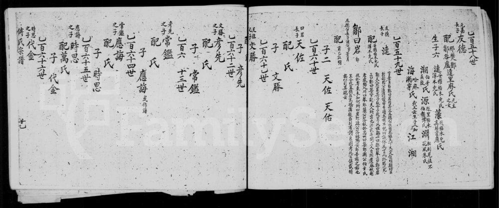 图片[5]-四川资阳傅氏宗谱电子版PDF下载-中华家谱网