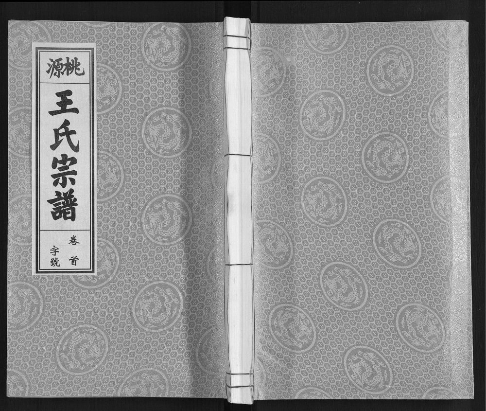 图片[1]-安徽合肥庐江县桃源王氏宗谱（三槐堂）电子版PDF下载-中华家谱网
