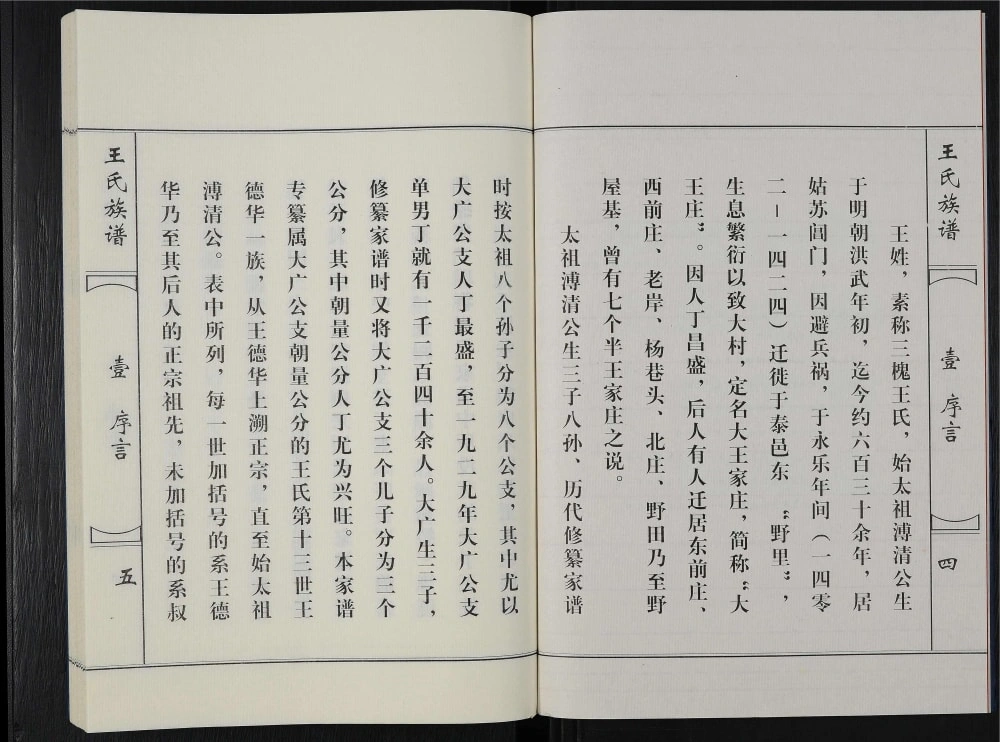 图片[2]-江苏泰兴王氏族谱电子版PDF下载-中华家谱网