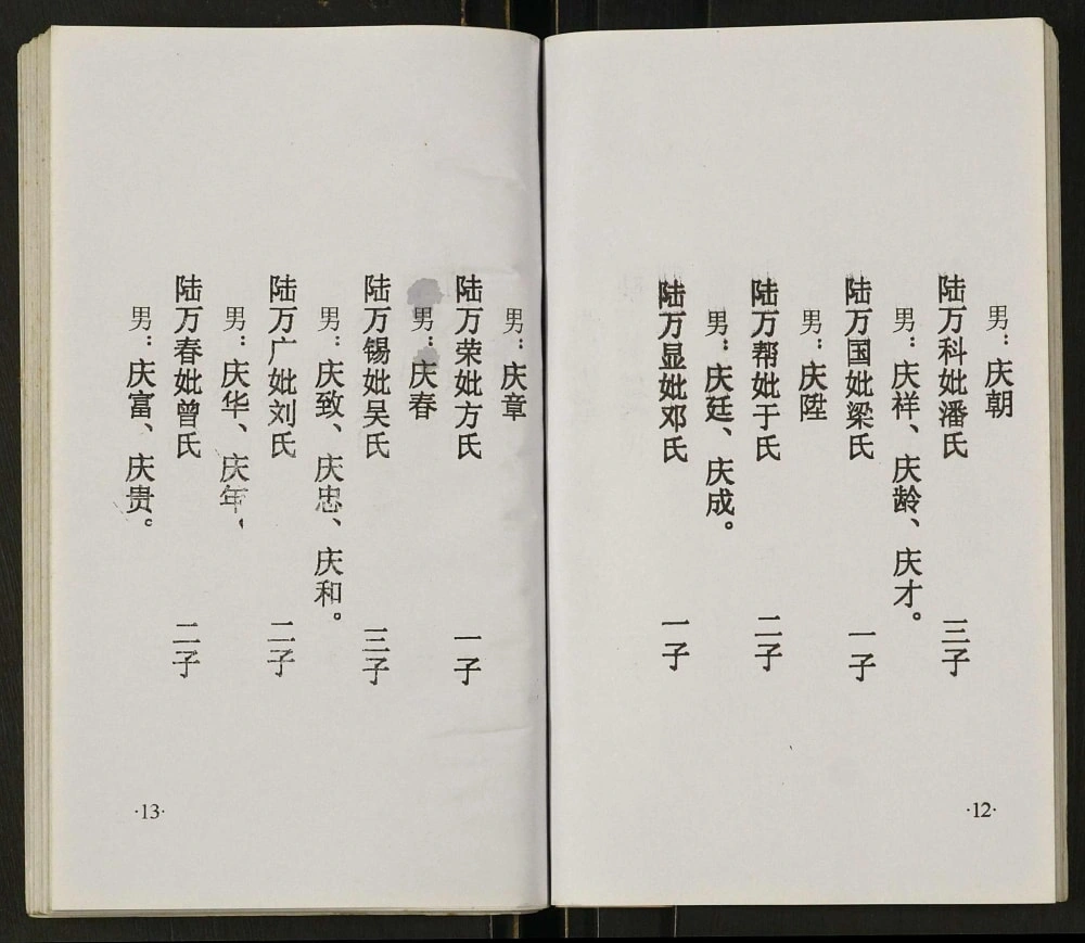 图片[8]-四川达州开江陆氏宗谱电子版PDF下载-中华家谱网