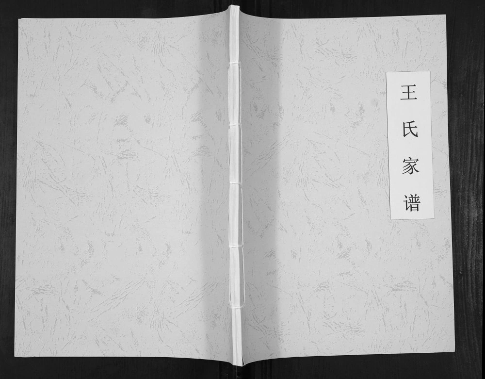 图片[1]-贵州安顺紫云县王氏家谱（太原堂）电子版PDF下载-中华家谱网
