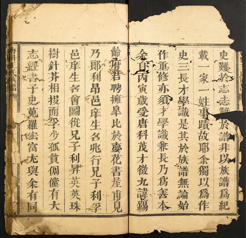 图片[1]-福建南平建阳区唐科王氏族谱电子版PDF下载-中华家谱网