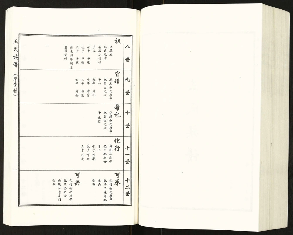 图片[8]-河北沧州盐山县唐家堡王常丰村王氏族谱电子版PDF下载-中华家谱网