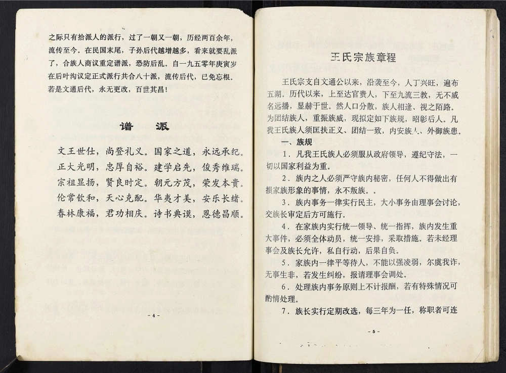 图片[5]-重庆云阳县王氏族谱电子版PDF下载-中华家谱网