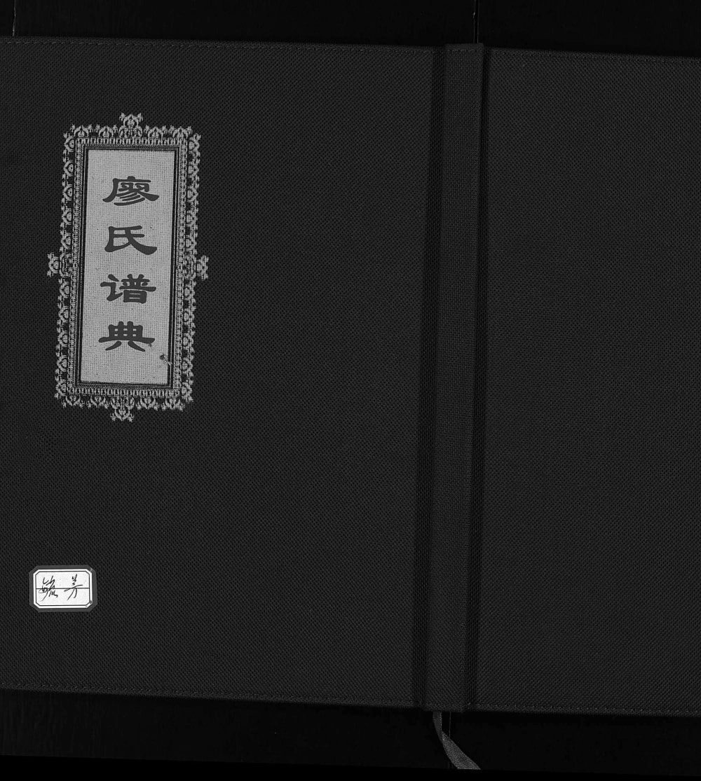 图片[1]-浙江温州平阳乐清廖氏谱典电子版PDF下载-中华家谱网