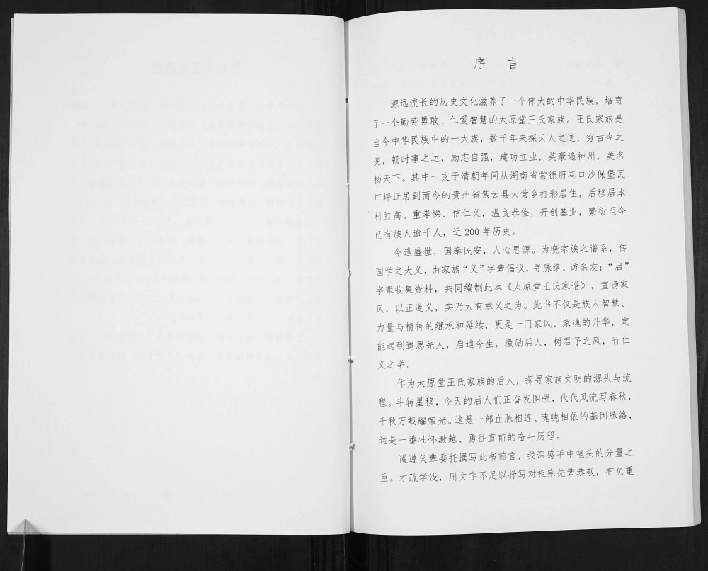 图片[4]-贵州安顺紫云县王氏家谱（太原堂）电子版PDF下载-中华家谱网