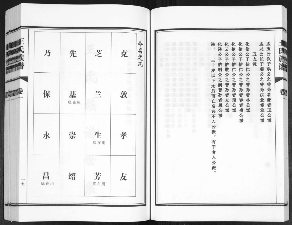 图片[4]-山东青岛城阳区狗塔埠王氏族谱电子版PDF下载-中华家谱网