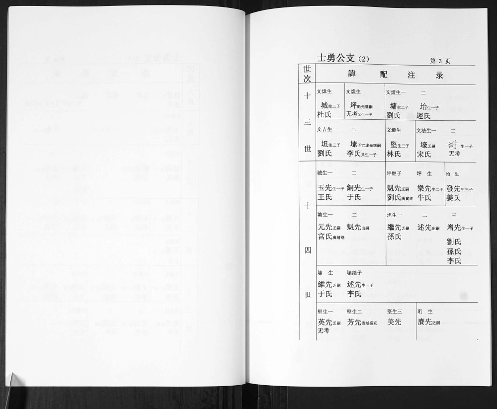 图片[5]-山东青岛即墨戴氏第二老支世谱电子版PDF下载-中华家谱网