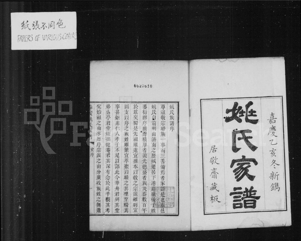 图片[2]-山东泰安姚氏家谱电子版PDF下载-中华家谱网