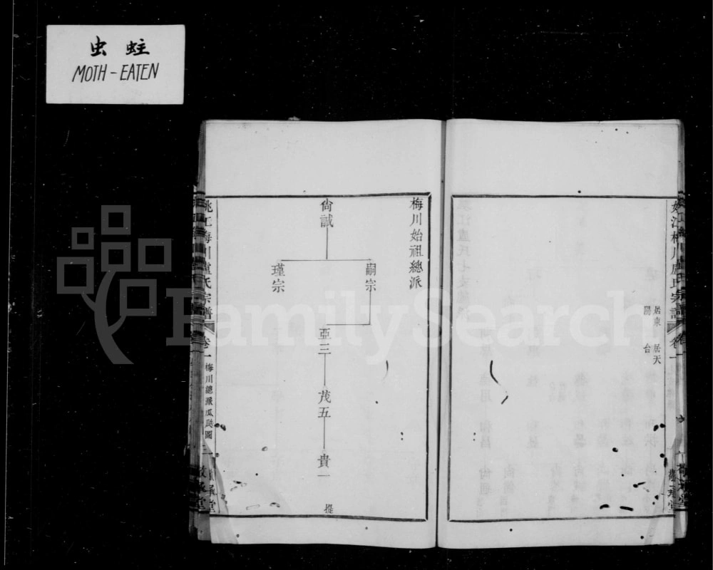 图片[6]-浙江余姚梅川卢氏宗谱（敬承堂）电子版PDF下载-中华家谱网
