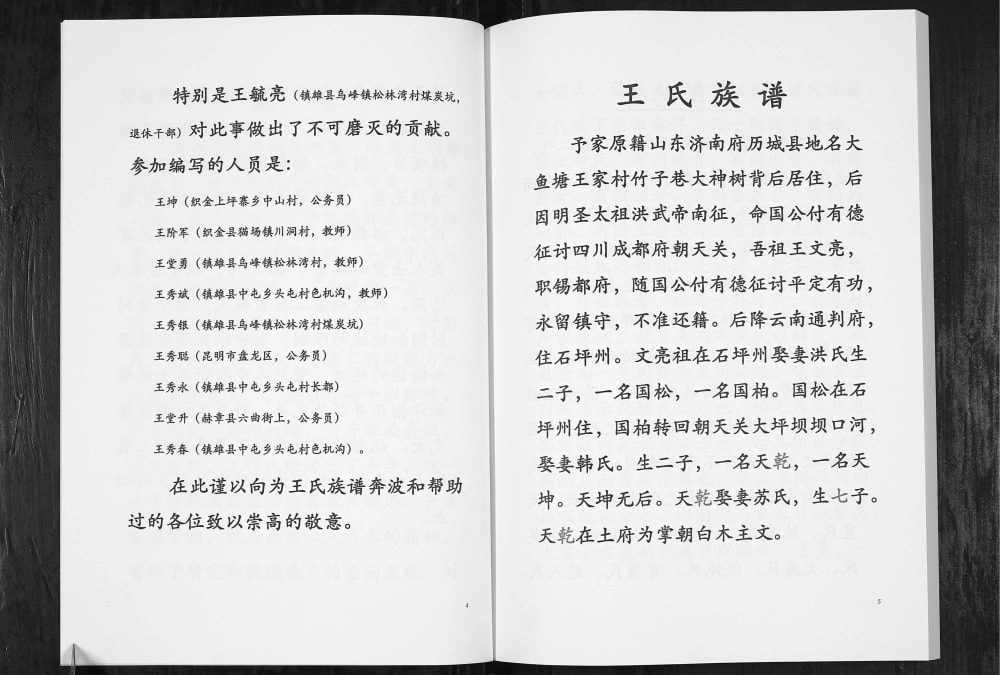 图片[3]-贵州毕节云南镇雄王氏族谱电子版PDF下载-中华家谱网