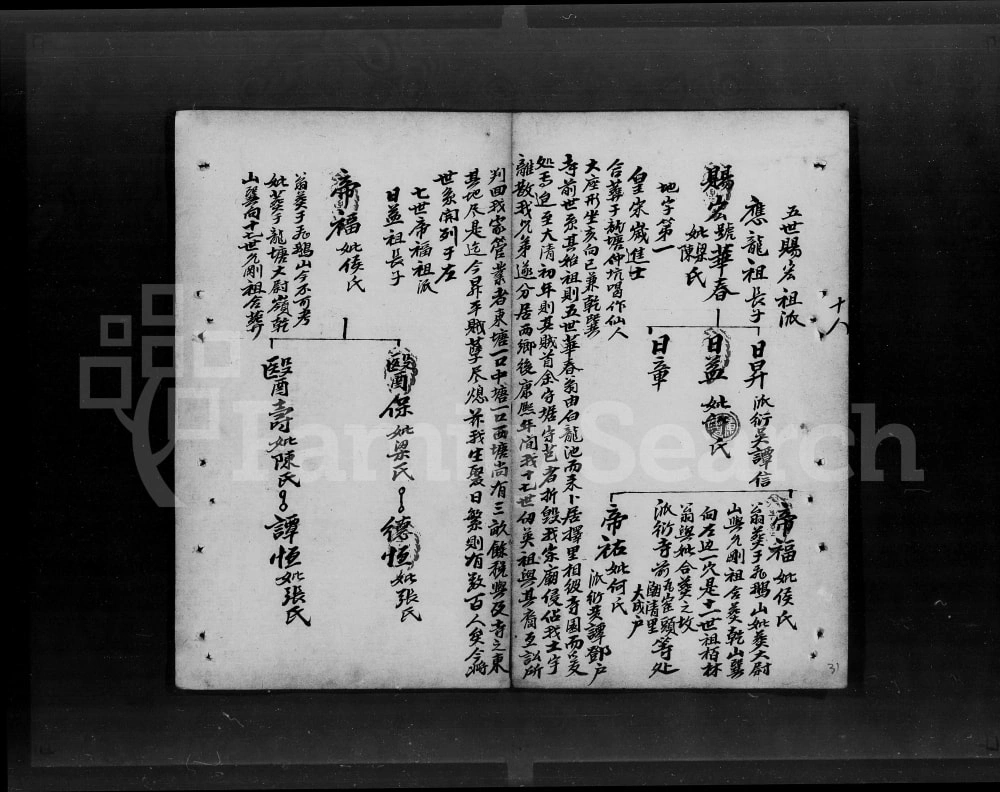 图片[2]-广东开平谭氏家谱电子版PDF下载-中华家谱网