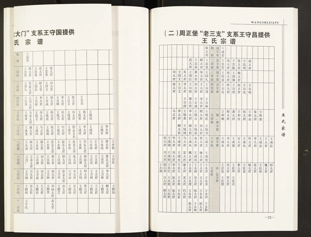 图片[6]-辽宁海城王氏家谱周正堡支系电子版PDF下载-中华家谱网