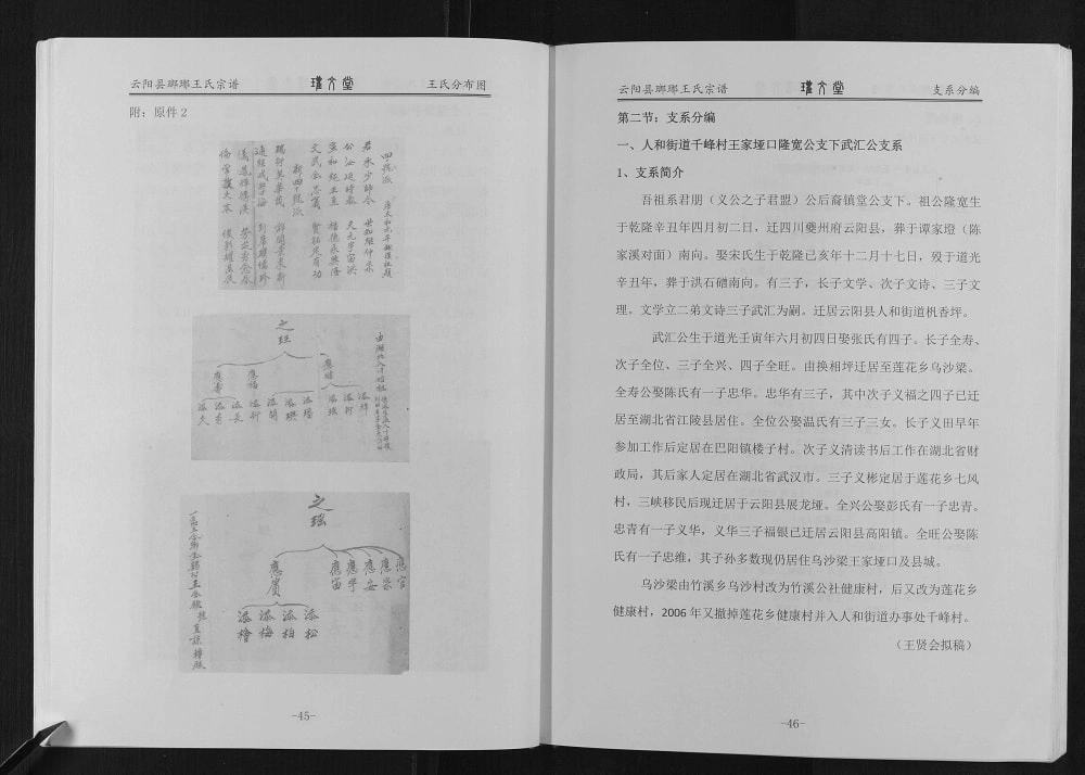 图片[8]-重庆云阳县琅琊王氏宗谱（瓘文堂）电子版PDF下载-中华家谱网