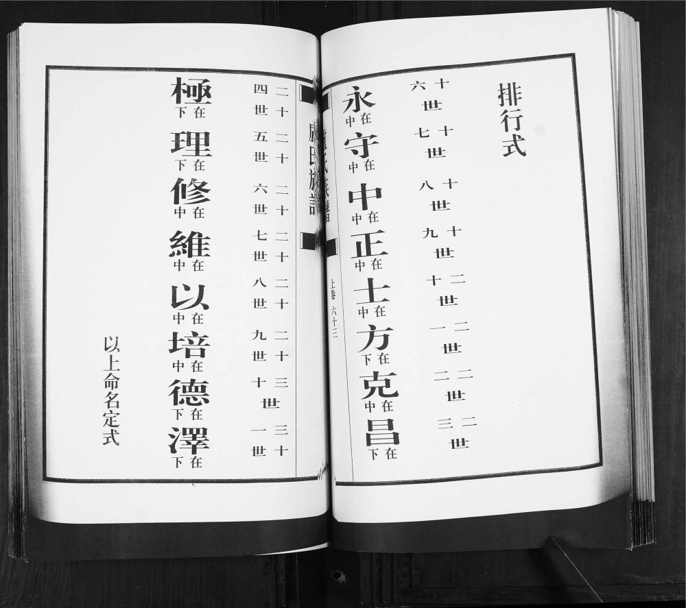 图片[3]-山东青岛即墨卢氏族谱电子版PDF下载-中华家谱网