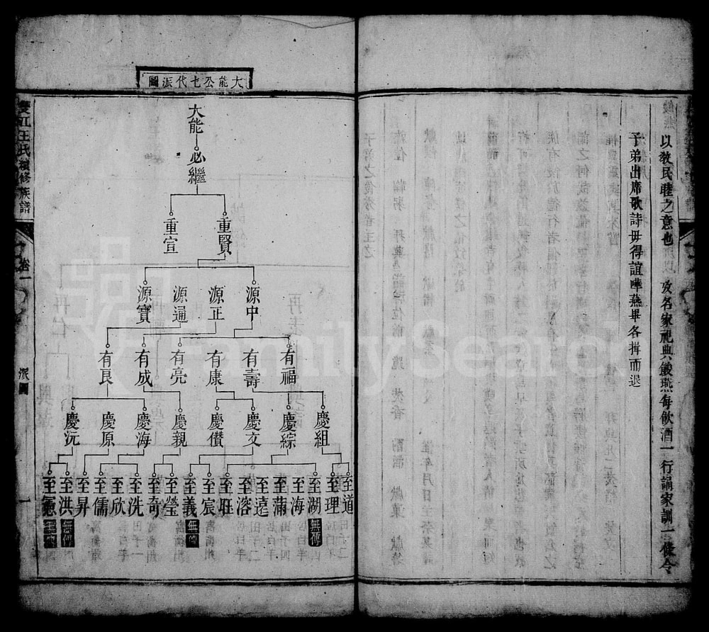 图片[4]-湖南湘乡双江王氏续修族谱（敦伦堂）电子版PDF下载-中华家谱网