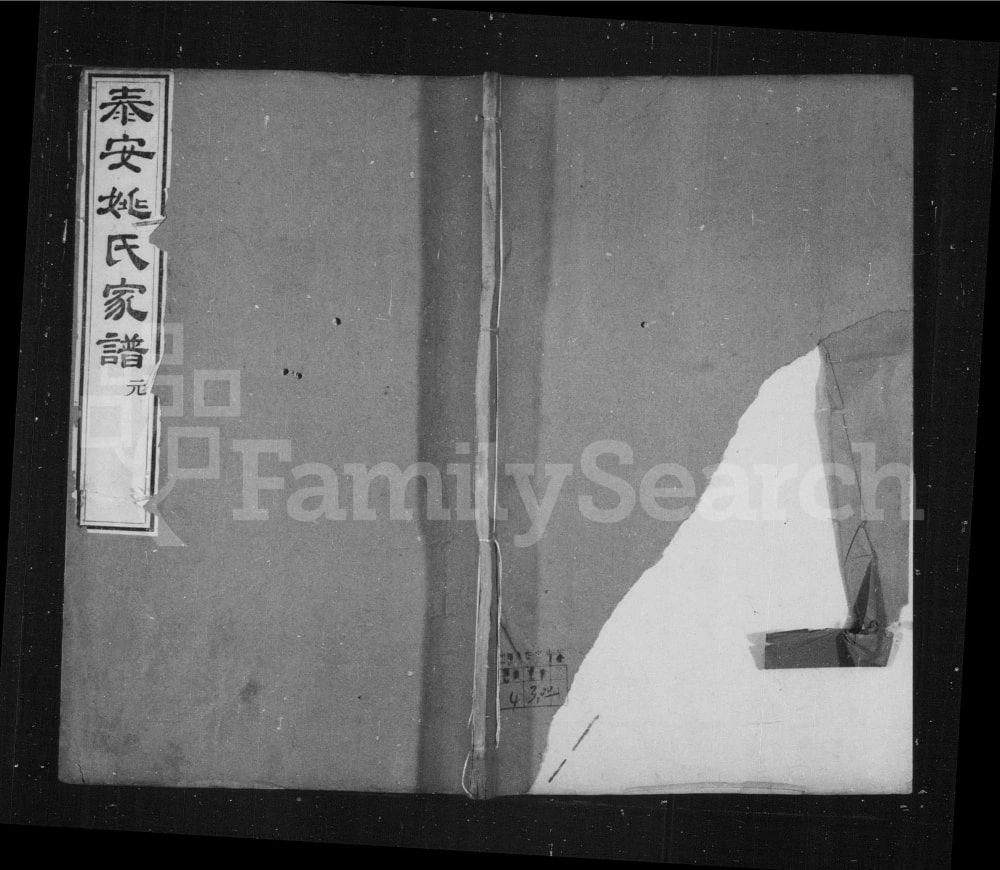 图片[1]-山东泰安姚氏家谱电子版PDF下载-中华家谱网