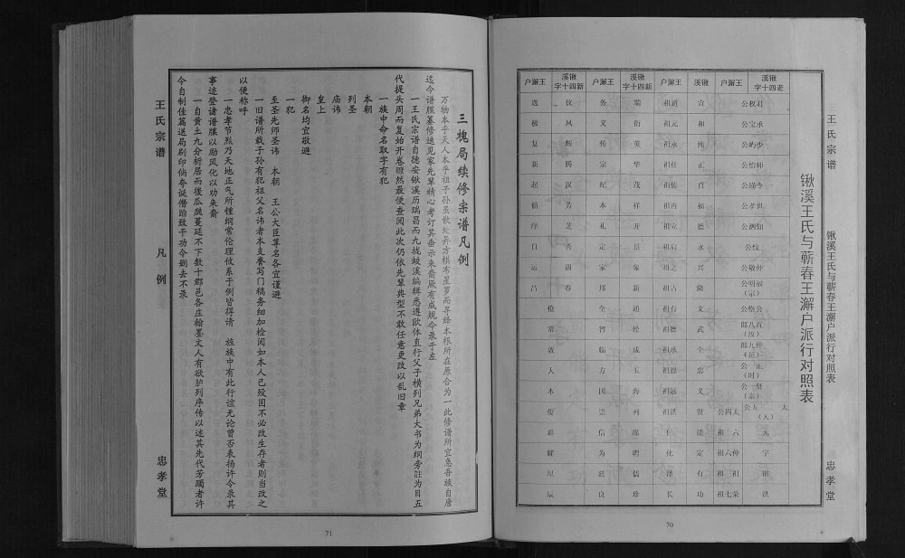 图片[6]-江西九江德安县王氏宗谱（忠孝堂）电子版PDF下载-中华家谱网