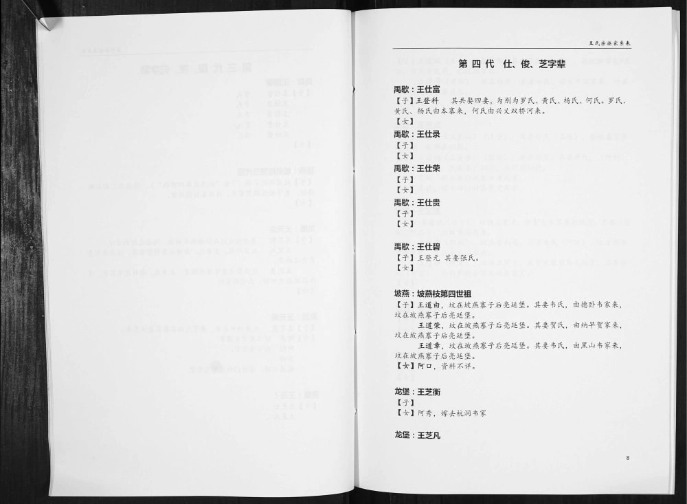 图片[6]-贵州黔西南安龙县王氏家史电子版PDF下载-中华家谱网
