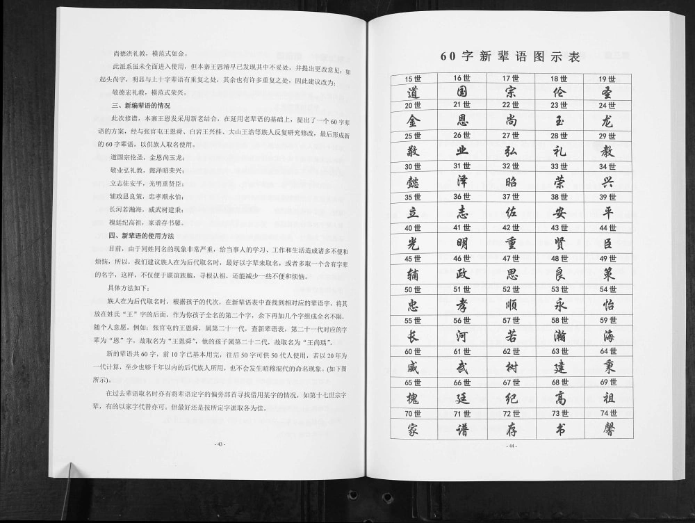 图片[6]-贵州安顺普定县王氏族谱（三槐堂）电子版PDF下载-中华家谱网